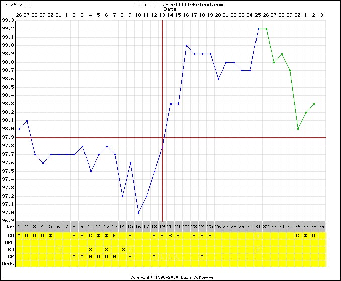 Positive Bbt Chart